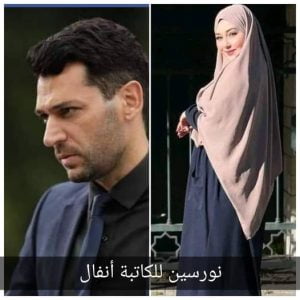 رواية نورسين