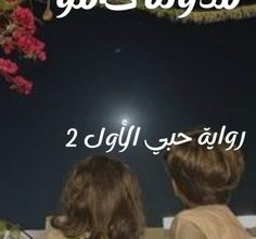 حبي الأول 2