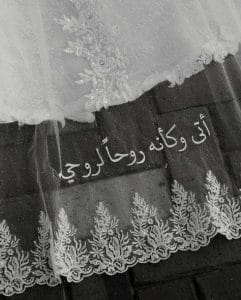 زين وادهم